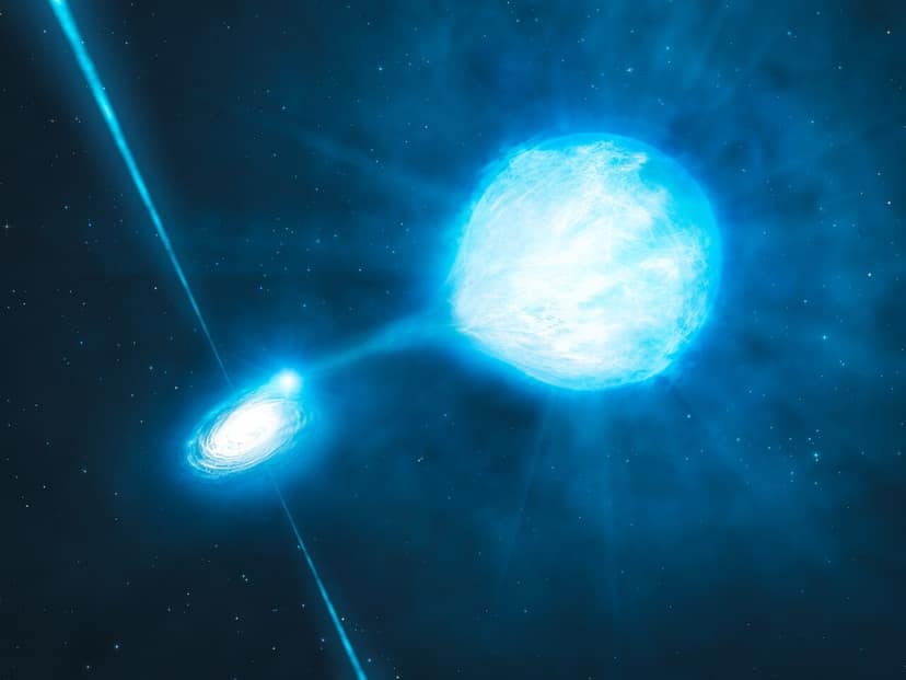 James Webb entdeckt mögliche "Schwarze-Hole-Stern"