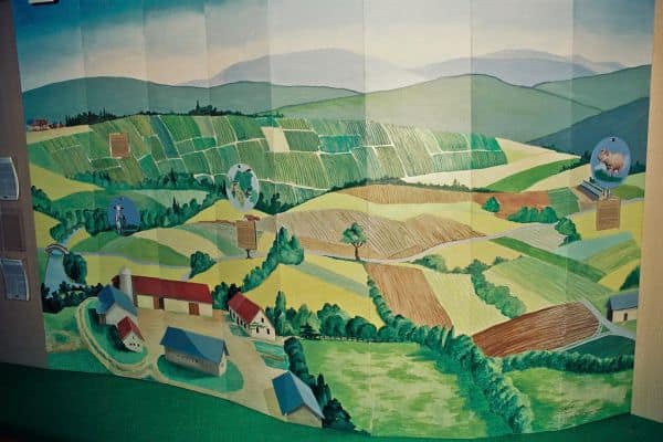 Die FNSEA fordert massive finanzielle Unterstützung für von Trockenheit betroffene Landwirte