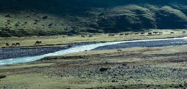 Proposta di modifica al divieto di maternità surrogata per gli stranieri in Kirghizistan