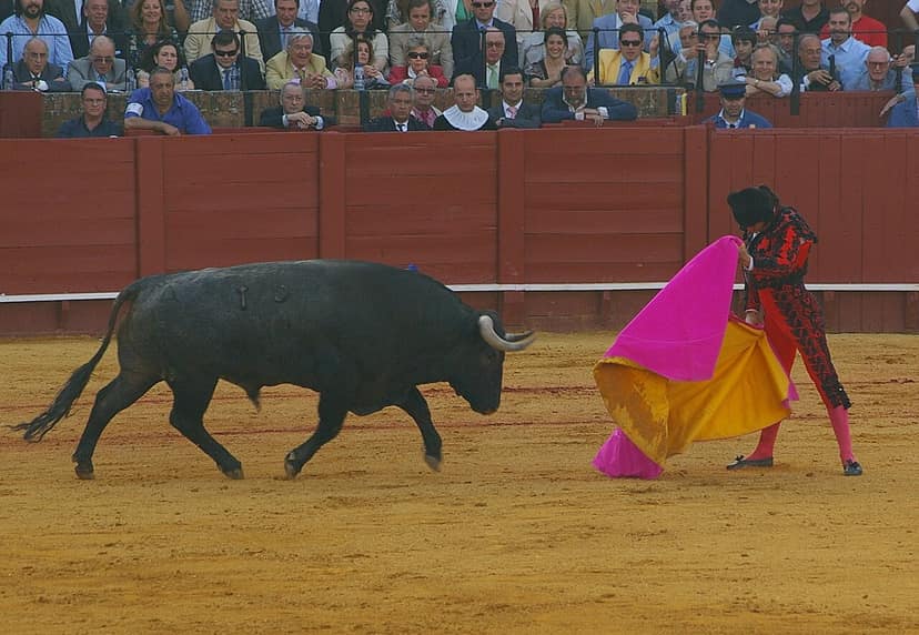 Morante de la Puebla e Daniel Crespo protagonizzano la corrida di El Puerto de Santa María