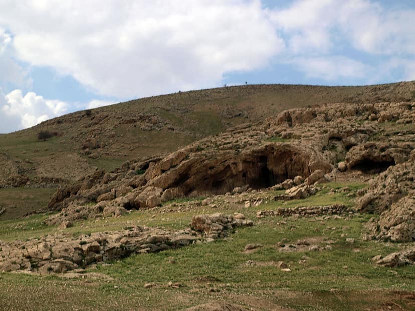 Activists Attempt to Deliver Supplies to Besieged Palestinians