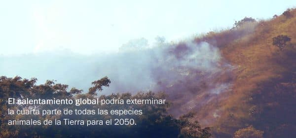 Heatwaves and Wildfires Devastate Europe in Summer 2023