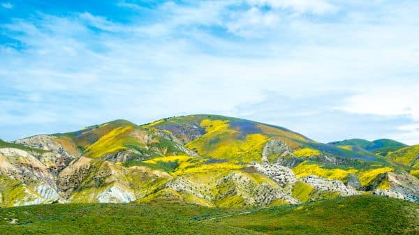 Detalles sobre el temblor del 14 de agosto de 2026 en Perú y Chile