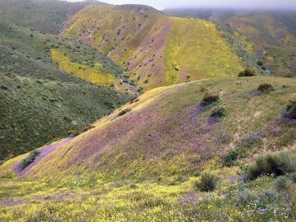 Detalles sobre el temblor del 14 de agosto de 2026 en Perú y Chile