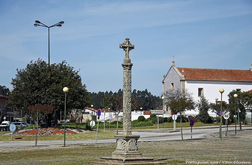Hôpital d'Oliveira de Azeméis fermé en raison d'une infestation de cafards