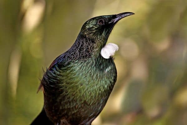 TUI considera reducir su flota en Bélgica debido a un aumento de los impuestos aéreos