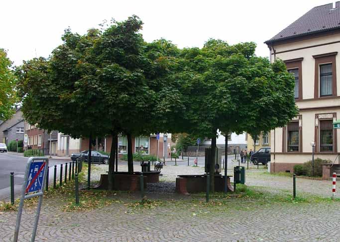 Krone trennt sich von Geschäftsführer Valeskini