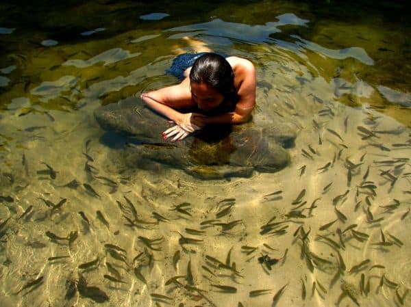 ICNF destaca la compatibilidad entre el deporte y la conservación de la naturaleza