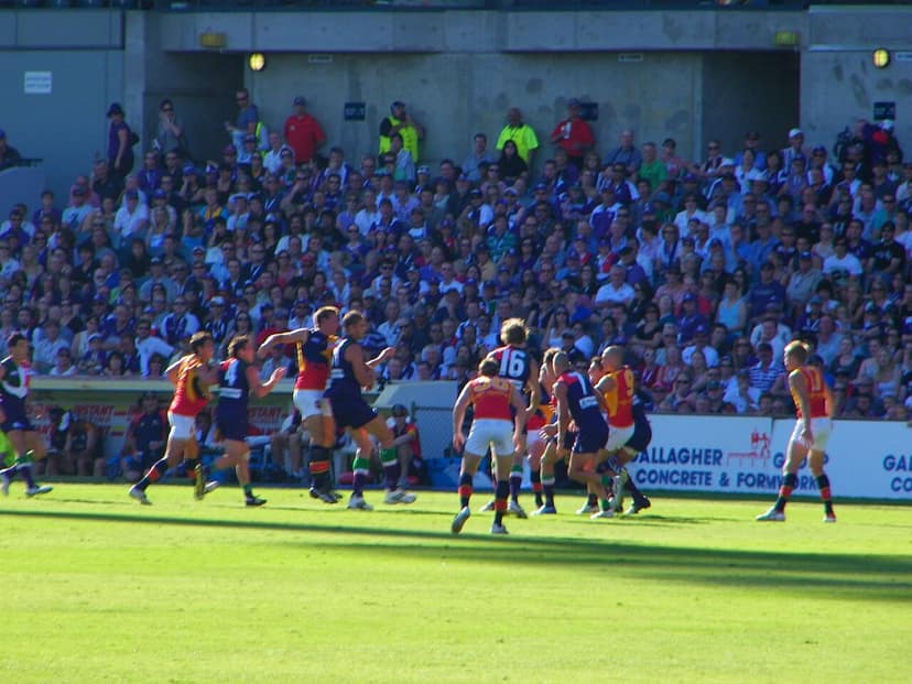 Crows vencem Tigers sob chuva intensa
