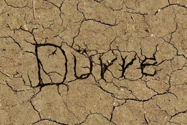 La siccità porta parchi marroni e raccolti danneggiati in Gran Bretagna