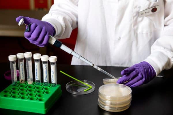 Massive Egg Recall in US Due to Salmonella Outbreak
