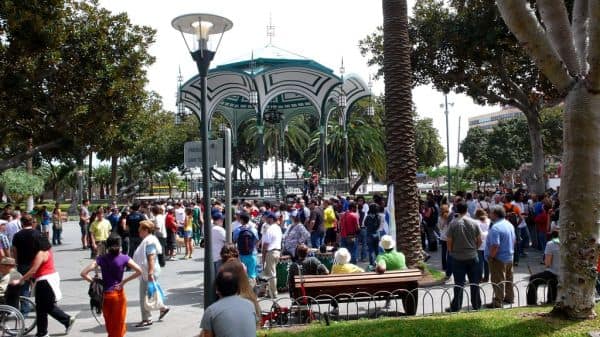 Ambientalistas cuestionan aprobación de proyecto de mandarinas en Alcácer do Sal