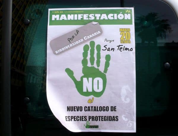 Ambientalistas cuestionan aprobación de proyecto de mandarinas en Alcácer do Sal