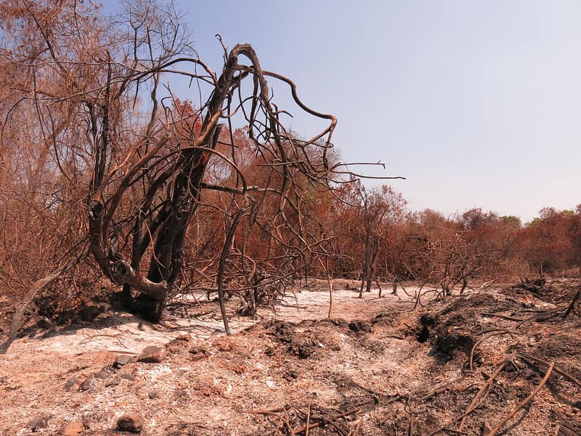 Three active fires in Chaves and Boticas