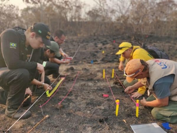 Three active fires in Chaves and Boticas