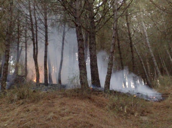 Wildfire in British Columbia: One Woman Dies, 20,000 Evacuated
