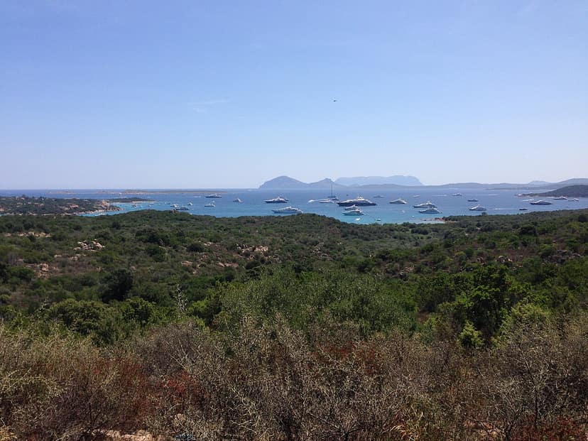Luxury yacht sinks off Sardinia due to engine failure
