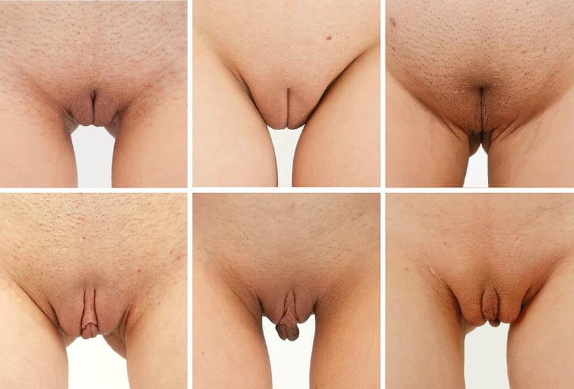 Dizionario Dikke Van Dale aggiunge vulvalippen