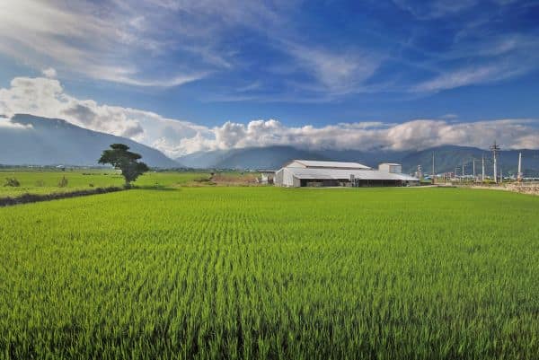 Il governo di Taiwan prevede un aumento della spesa per la Difesa nel 2027